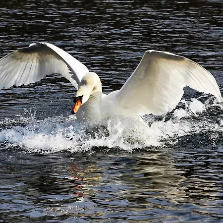 Ferienhaus Des Trois Vallees